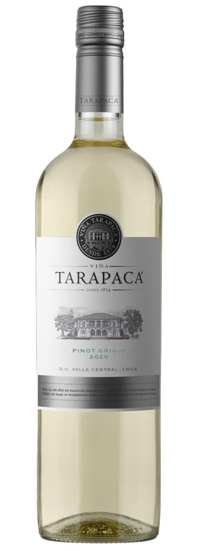 Tarapacá Pinot Grigio varietal