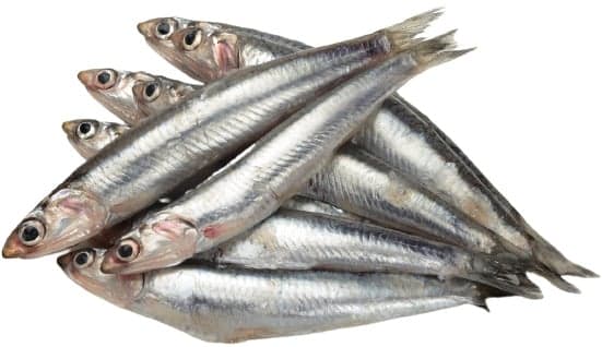 Anchovies