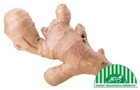 BIO ginger, loose