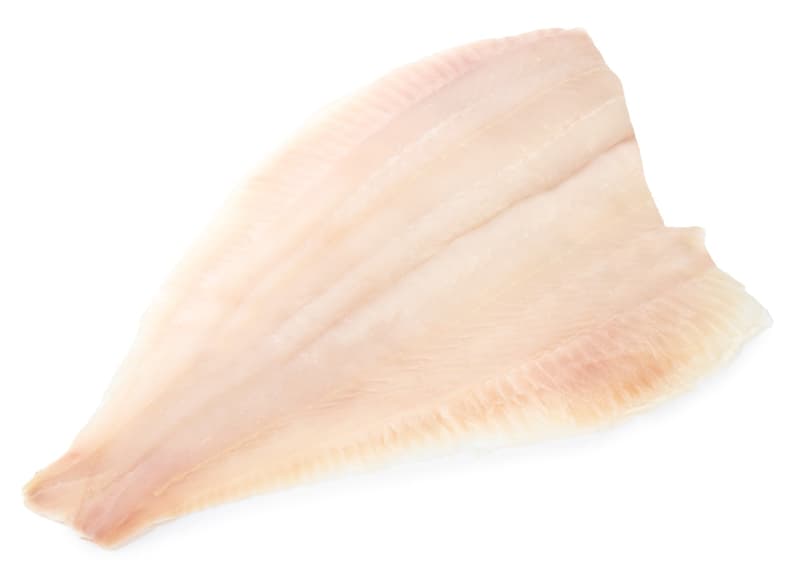 FJORU MSC Platýs velký filet s kůží