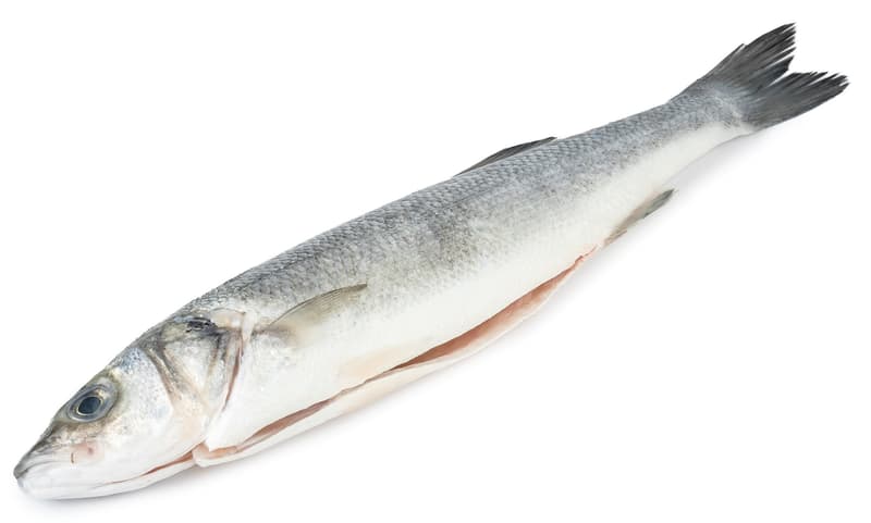 BIO seabass whole 
