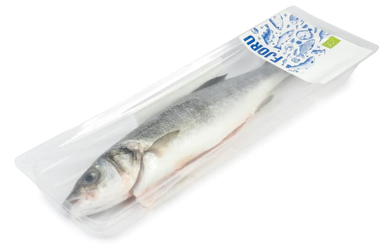 BIO seabass whole 