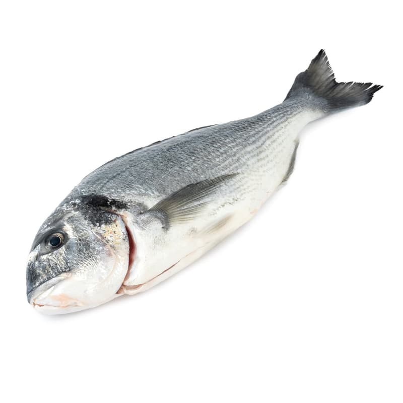 BIO seabream whole