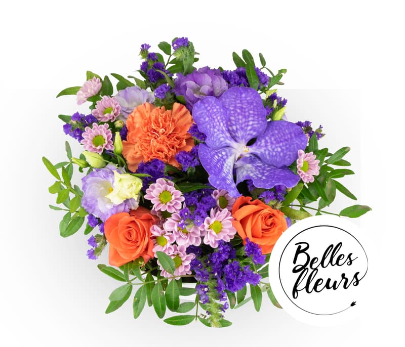 Belles Fleurs Květinový box "Vanda" s orchidejí