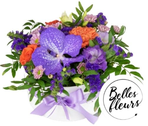 Belles Fleurs Květinový box "Vanda" s orchidejí