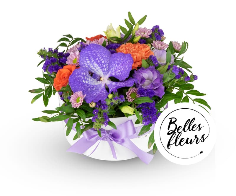 Belles Fleurs Květinový box "Vanda" s orchidejí