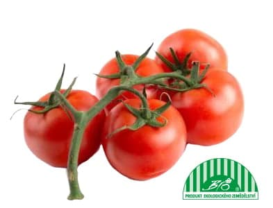 BIO Tomato on twig 1 pc