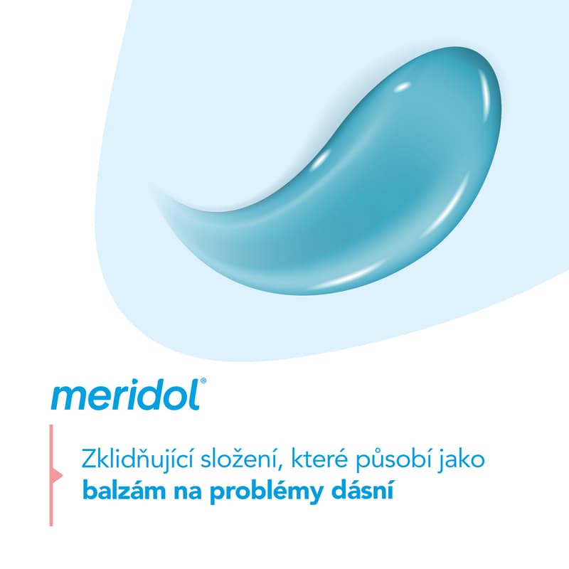 Meridol® Gum Protection Zubní pasta pro ochranu dásní