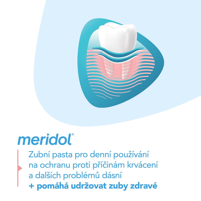 Meridol® Gum Protection Zubní pasta pro ochranu dásní