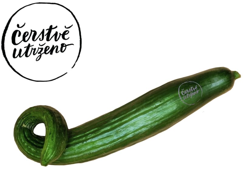 Čerstvě utrženo – cucumber (Hugo), without foil, nestandard