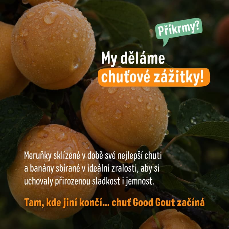 Good Gout BIO Apricot with banana