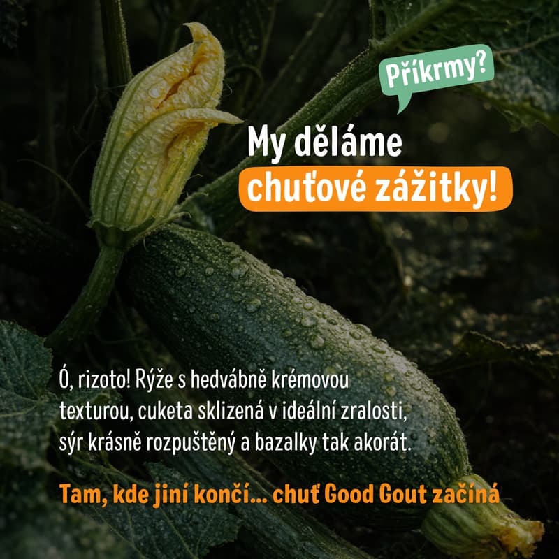 Good Gout BIO Cuketové rizoto s kozím sýrem