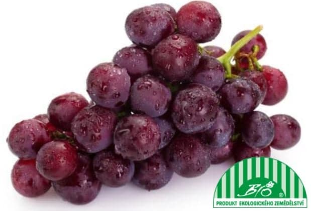 BIO Grapes dark, twig