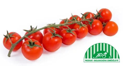 BIO Cherry tomatoes on twig, bunch