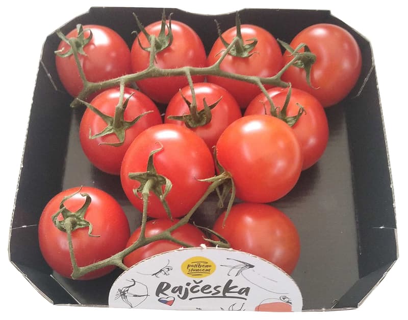 Rajčeska – Coctail tomatoes (Briosso – size of the tomato: 3–4 cm), pack