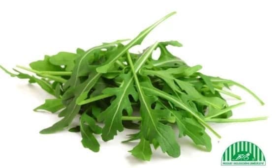 BIO Rucola, pack
