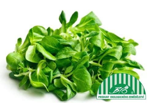 BIO Lamb lettuce (corn salad), pack