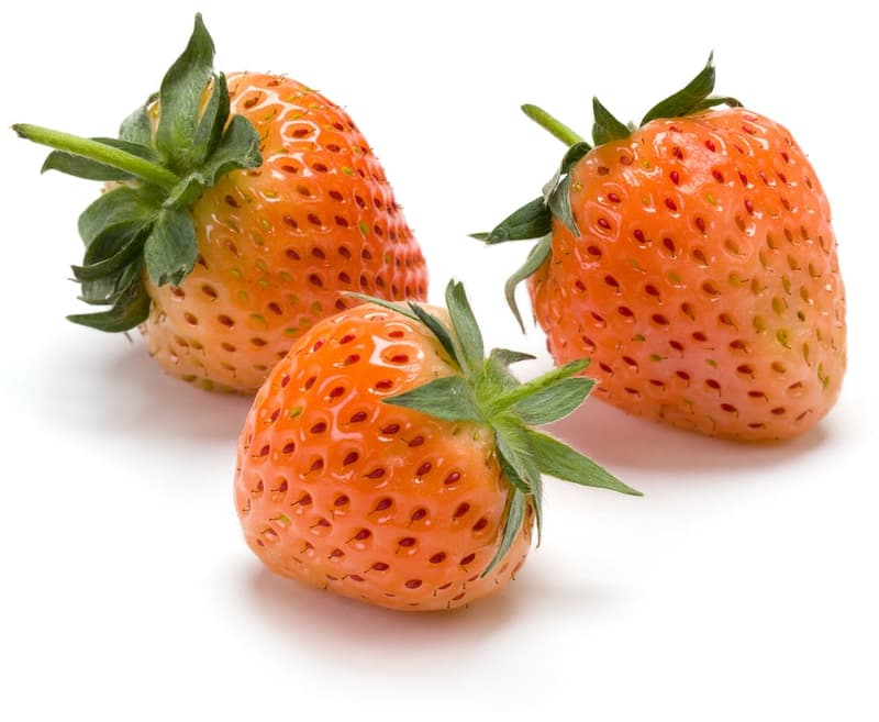 Peach berries – Broskvové jahody, balení