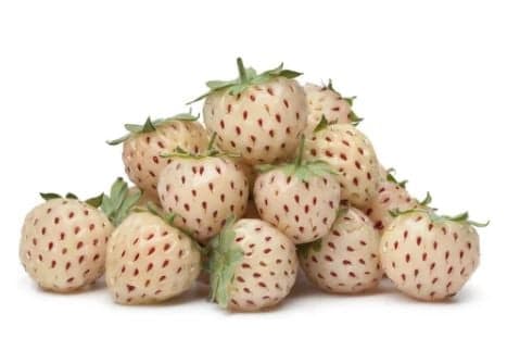 Pineberries, balení