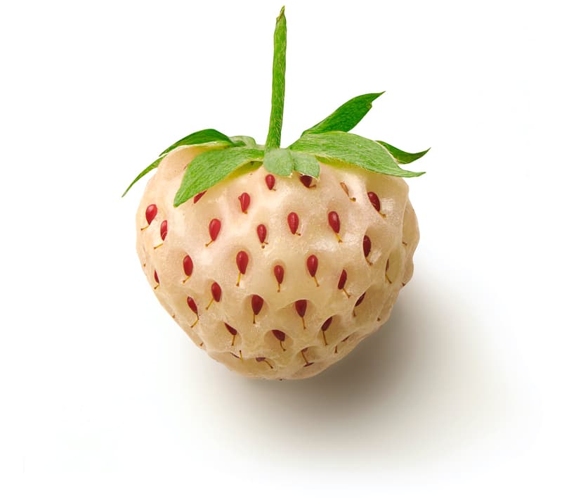 Pineberries, balení