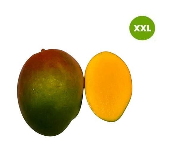 Mango VELKÉ "ready to eat"