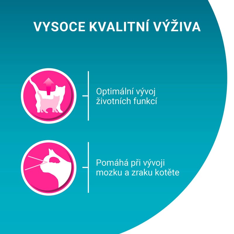 Purina ONE Junior kapsička pro koťata losos ve šťávě