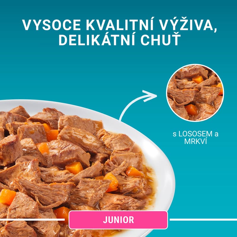 Purina ONE Junior kapsička pro koťata losos ve šťávě