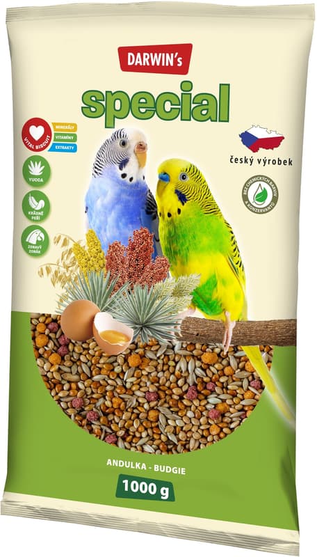 DARWIN's - NEW Budgie