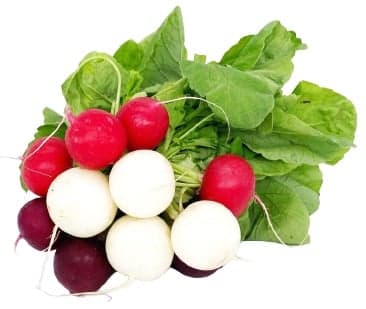 Radish wild mix, bunch
