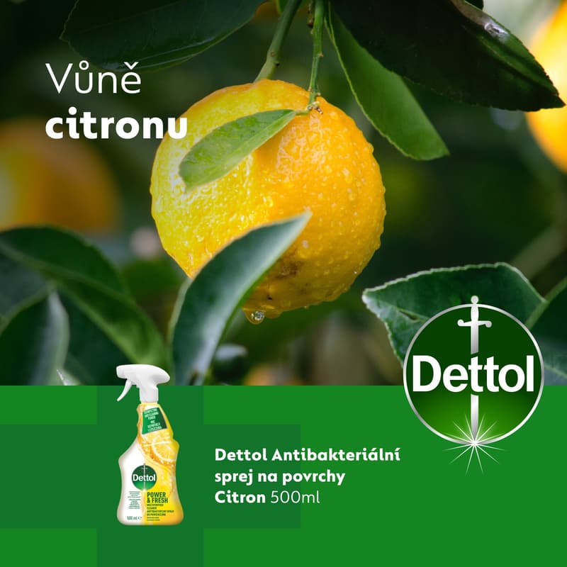 Dettol Antibacterial spray lemon and lime