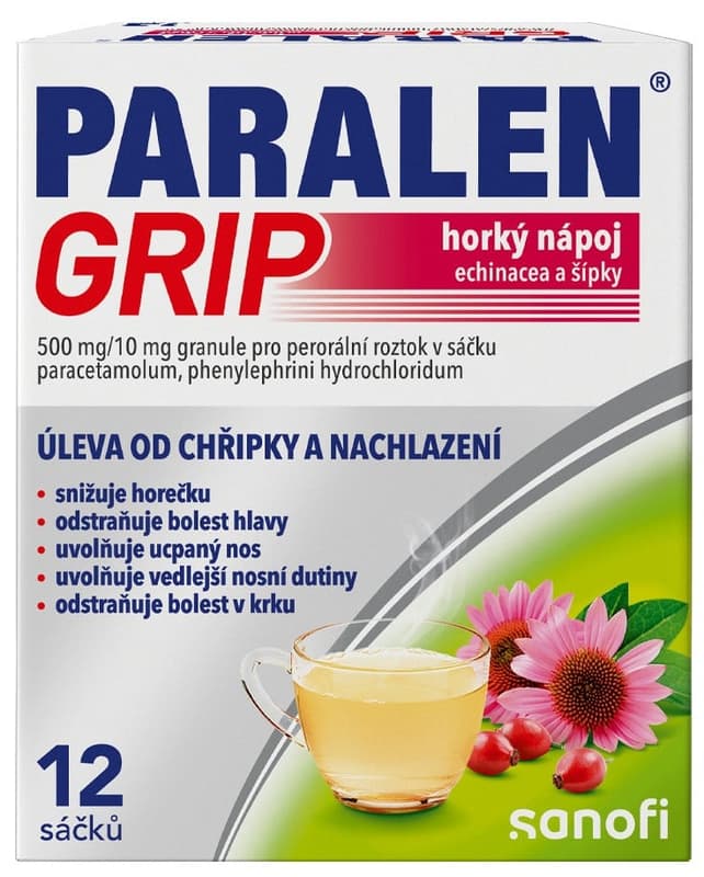 PARALEN GRIP HORKÝ NÁPOJ ECHINACEA A ŠÍPKY 500MG/10MG Granule pro perorální roztok v sáčku 12