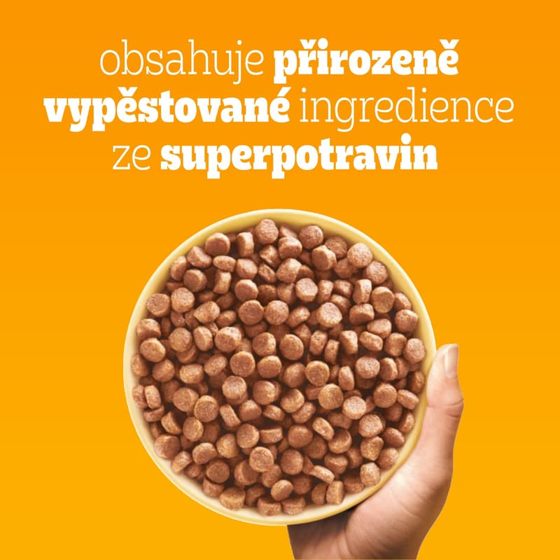 Pedigree Junior granule s drůbežím a zeleninou pro štěňata malých plemen