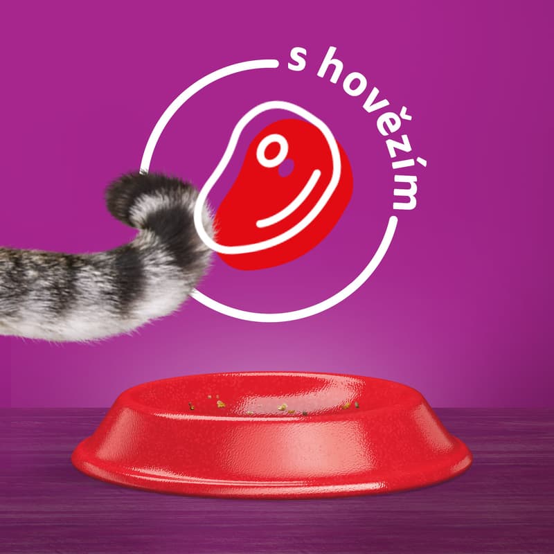 Whiskas Granule pro dospělé kočky hovězí