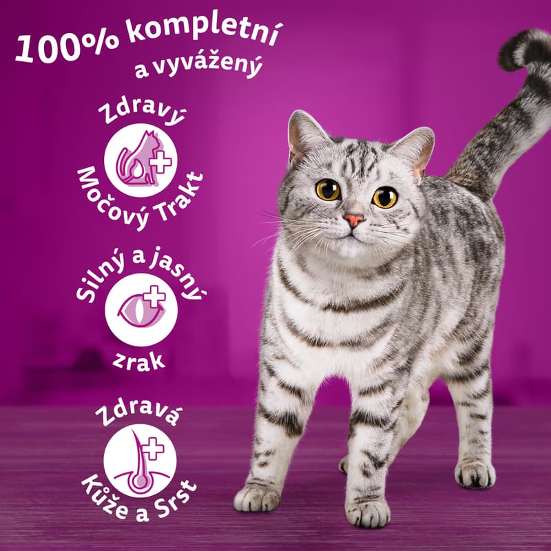 Whiskas Granule pro dospělé kočky hovězí