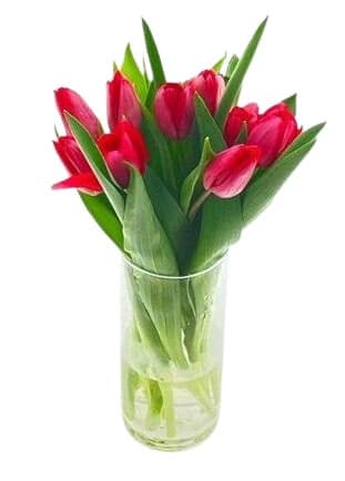 Red tulips, 9 pcs