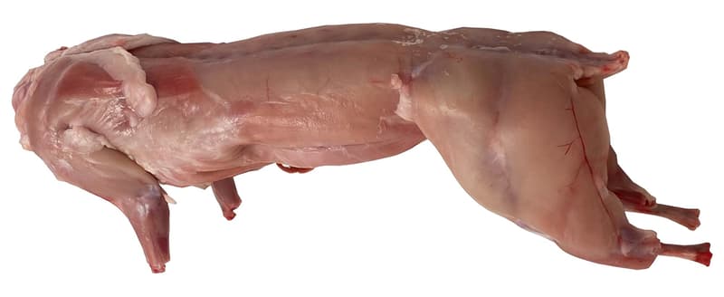 Farmářský králík bez hlavy