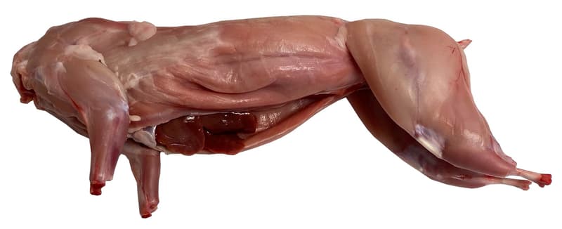 Farmářský králík bez hlavy