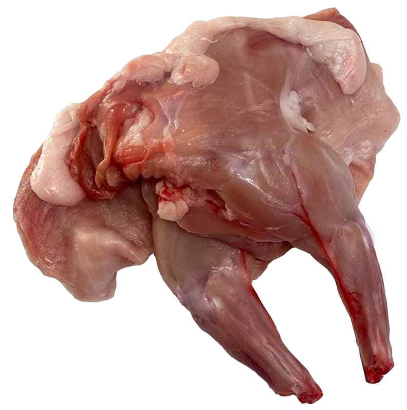 Farmer´s Rabbit front legs