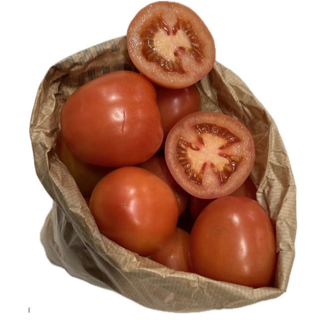 Oval tomatoes, pack