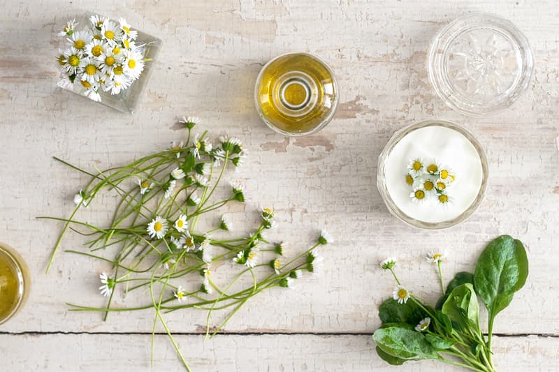Manufaktura Extra jemný sprchový gel & šampon Sedmikráska – rodinné balení