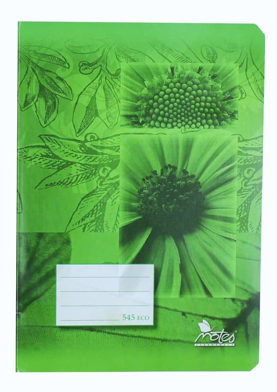 Notes Školní sešit A5 čtverečkovaný, 545, 40 listů