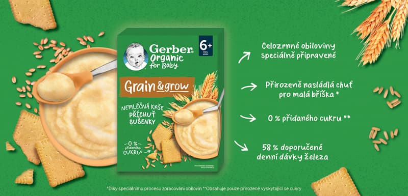 Gerber Organic BIO Nemléčná kaše s příchutí sušenky