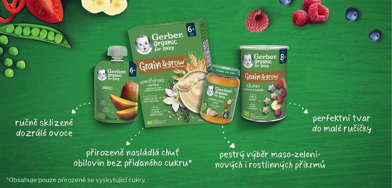 Gerber Organic BIO Nemléčná kaše s příchutí sušenky