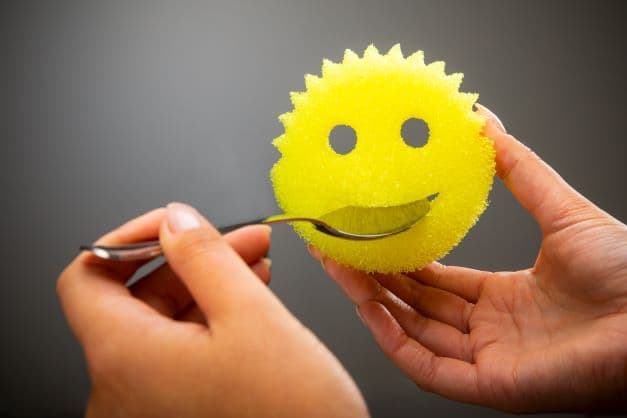 Scrub Daddy Original houbička