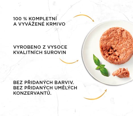 Gourmet Gold Savory cake with beef for cats