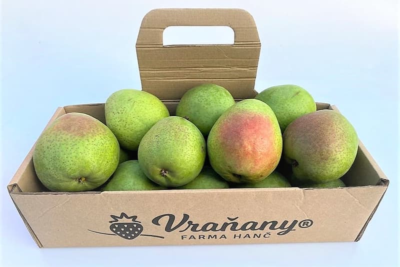 Czech pears Conference - Vraňany Farm, basket