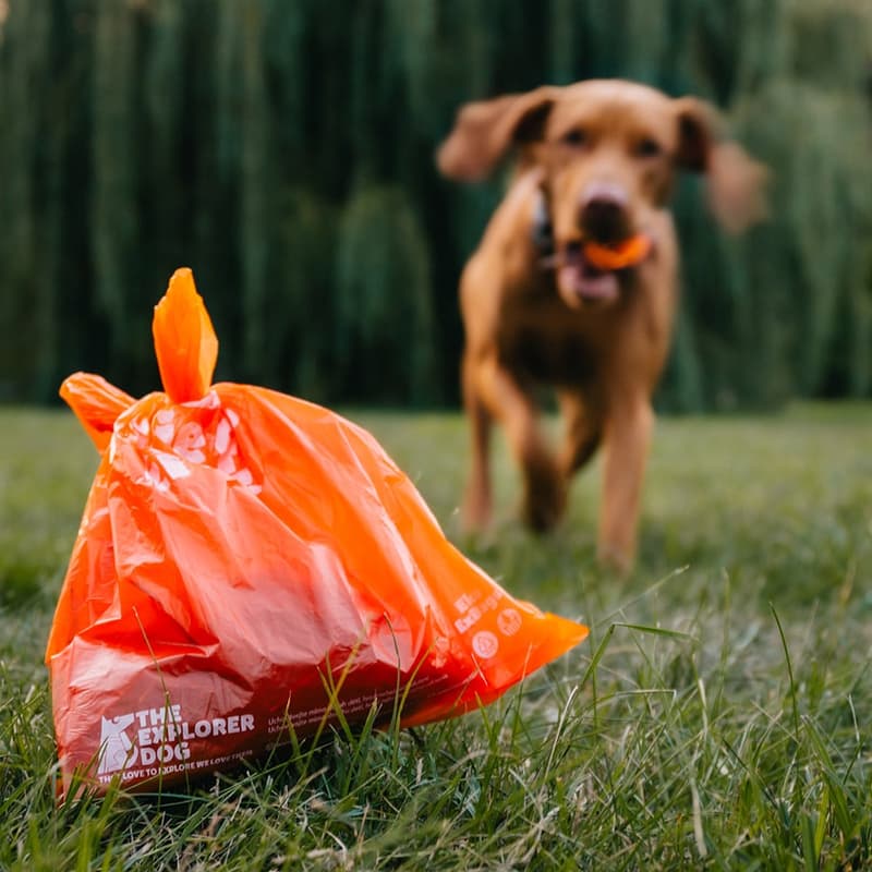 Explorer Dog Dog excrement bags