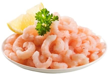 Liveg Alternasea vegan shrimps