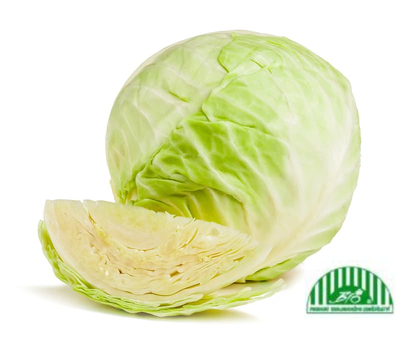 Organic White Cabbage 1 pc