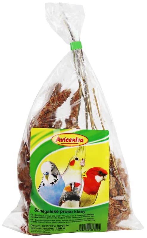 Avicentra Senegal millet ears